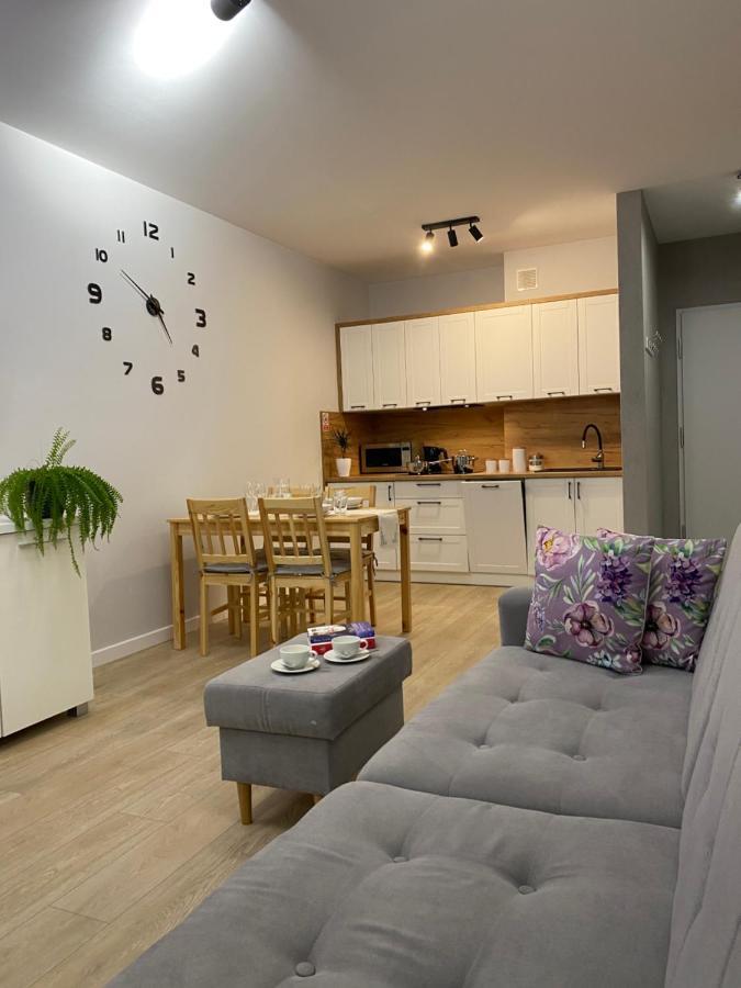Apartament Bieszczadzkie Widoki Ustrzyki Dolne Zewnętrze zdjęcie